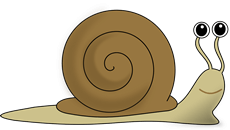 Snail demonstrating slow website speed terryloving.com/blog